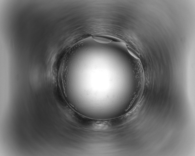 X0000096410175200801241228