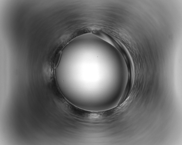 X0000096410176200801241228