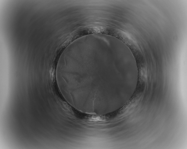 X0000096410177200801241228