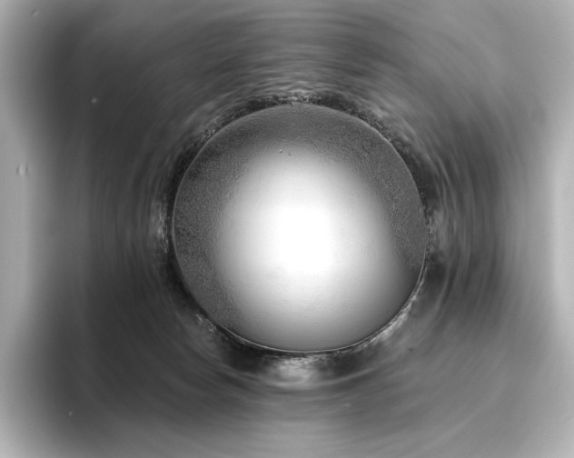 X0000096410178200801241228
