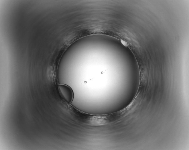 X0000096410179200801241228
