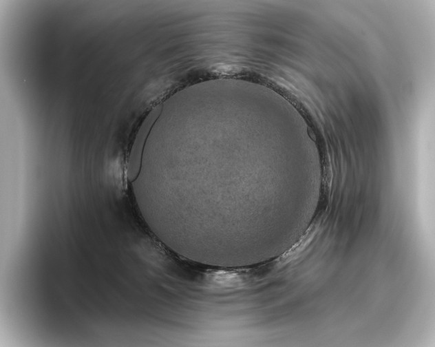 X0000096410180200801241228