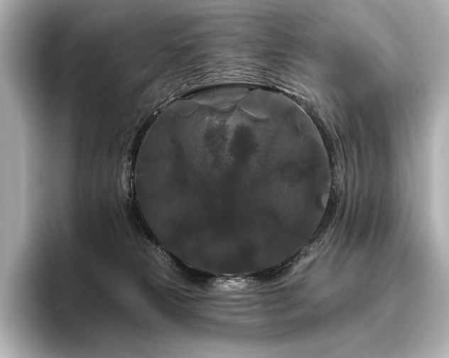 X0000096410181200801241228