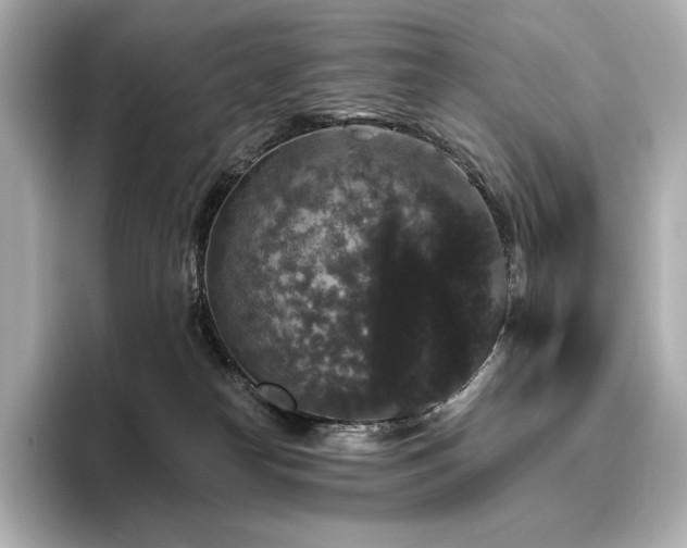 X0000096410182200801241228