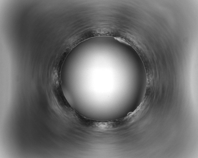 X0000096410187200801241228