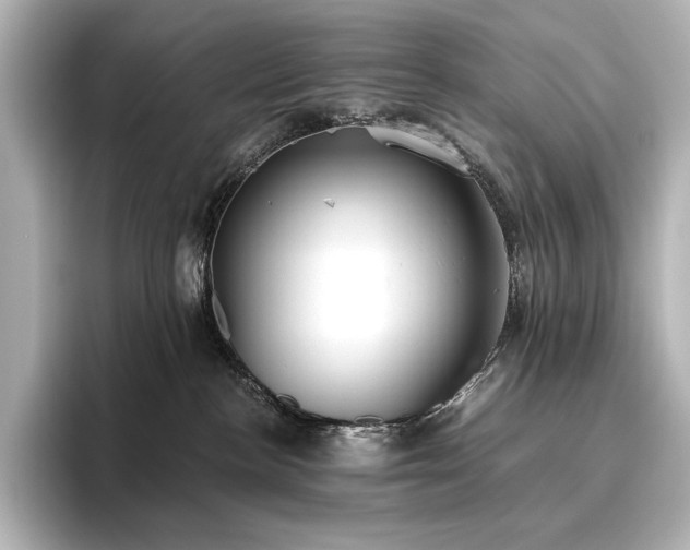 X0000096410188200801241228