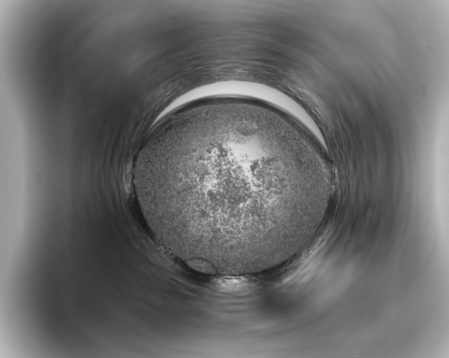 X0000096410189200801241228