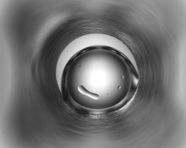 X0000096410190200801241228