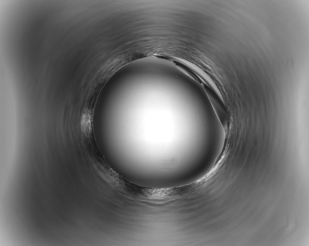 X0000096410191200801241228