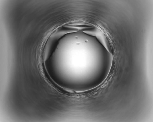 X0000096410193200801241227