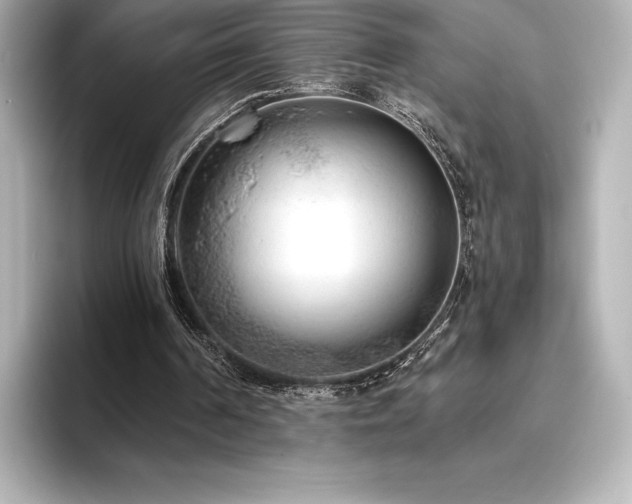 X0000096410194200801241227
