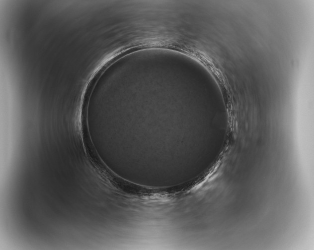 X0000096410196200801241227