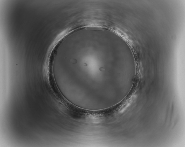 X0000096410199200801241227