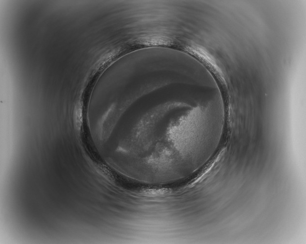 X0000096410202200801241227