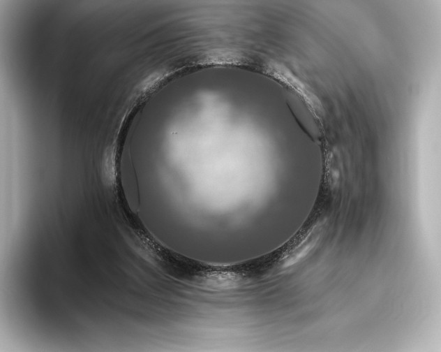 X0000096410203200801241227