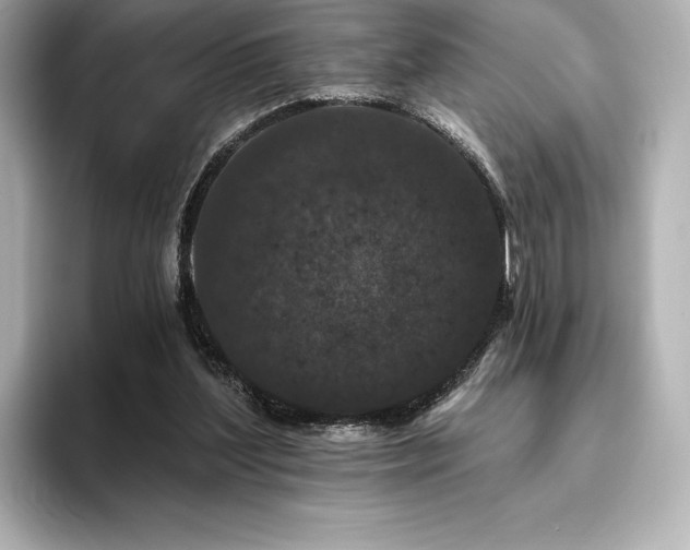 X0000096410204200801241227