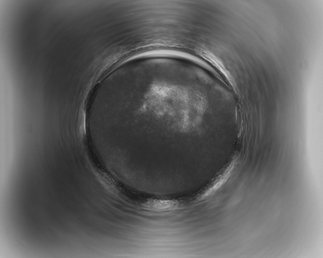 X0000096410205200801241227