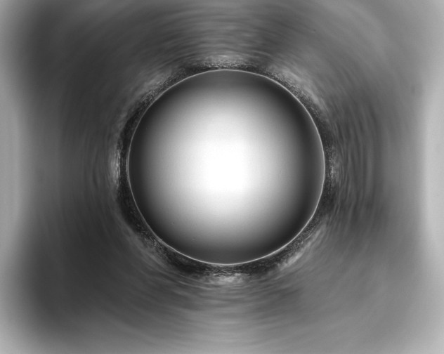 X0000096410206200801241227