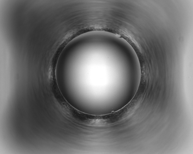 X0000096410212200801241227