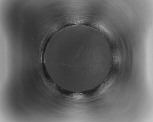 X0000096410214200801241227