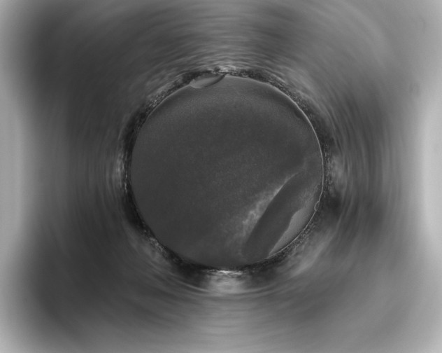 X0000096410222200801241227