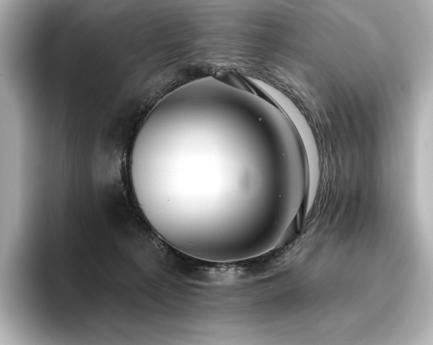 X0000096410225200801241227
