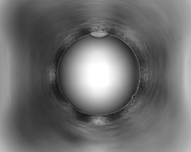 X0000096410226200801241227