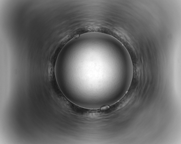 X0000096410228200801241227