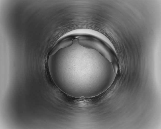 X0000096410229200801241227