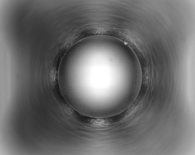 X0000096410230200801241227