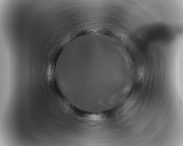 X0000096410236200801241227