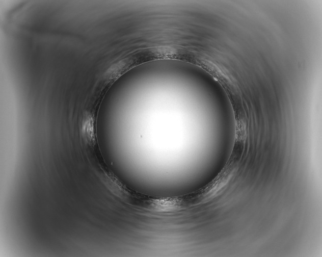 X0000096410238200801241227