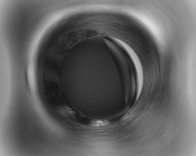 X0000096410239200801241227