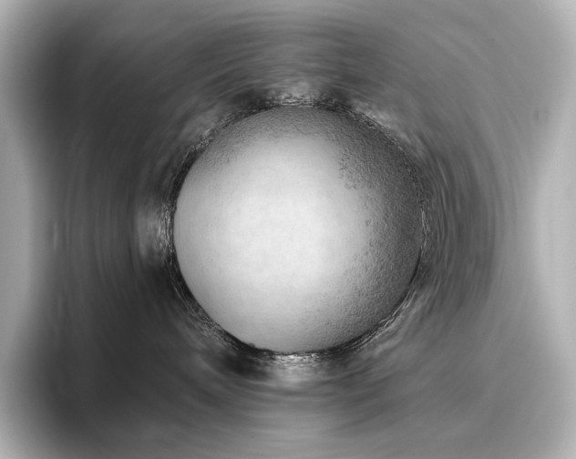 X0000096410240200801241227