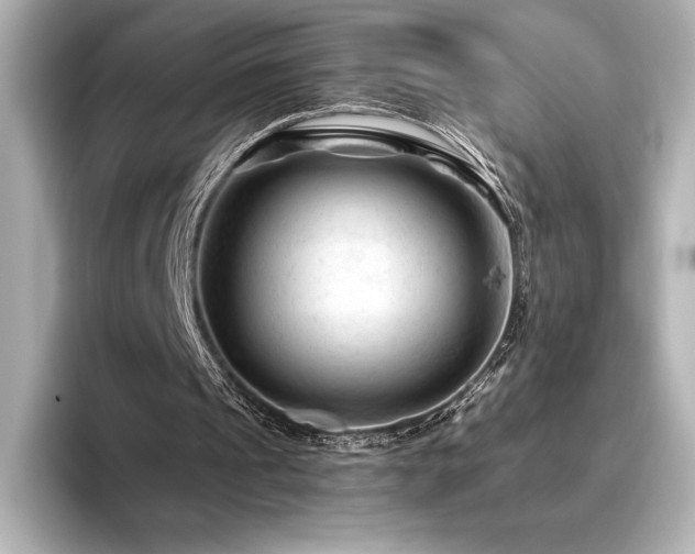X0000096410241200801241226