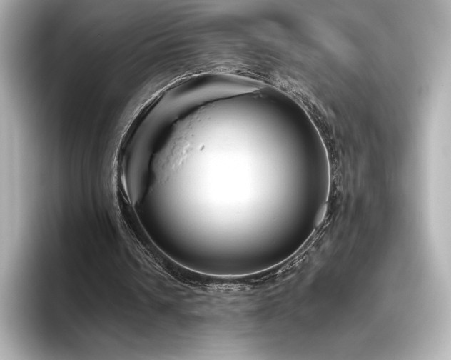X0000096410242200801241226