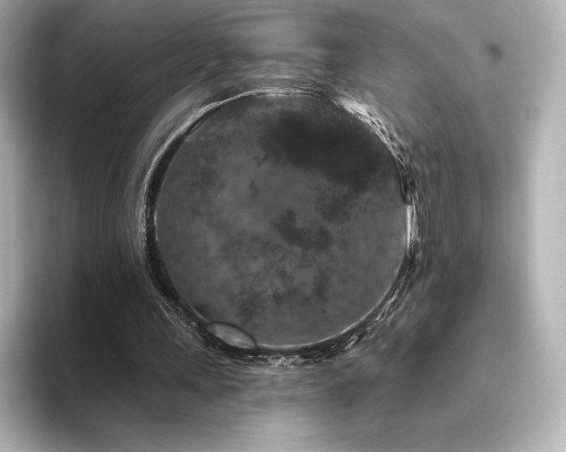 X0000096410243200801241226