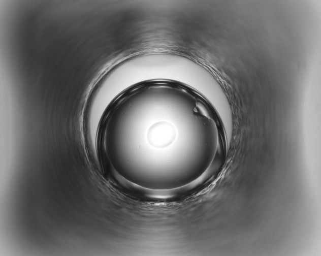 X0000096410244200801241226