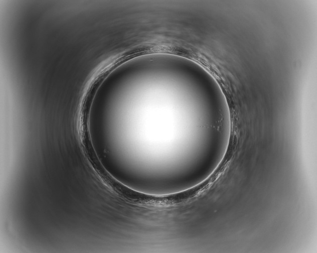 X0000096410245200801241226