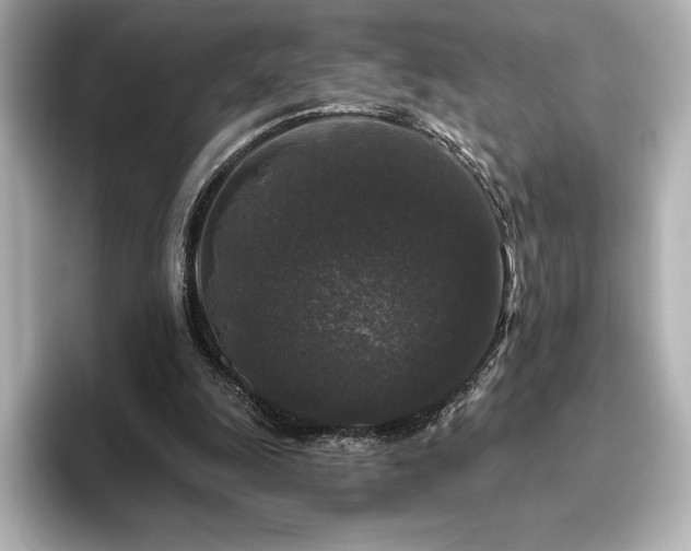 X0000096410247200801241226