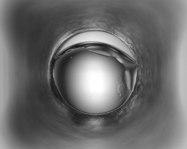 X0000096410248200801241226