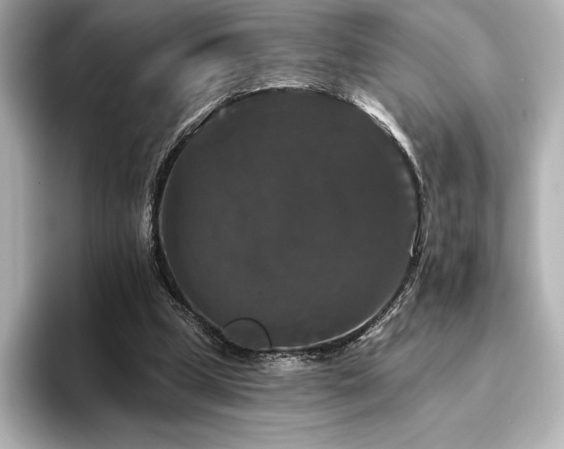 X0000096410249200801241226
