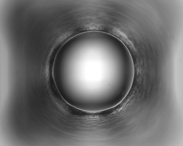 X0000096410250200801241226