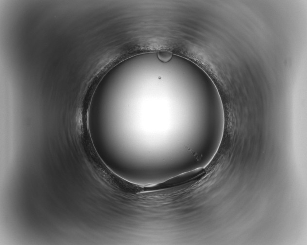 X0000096410251200801241226