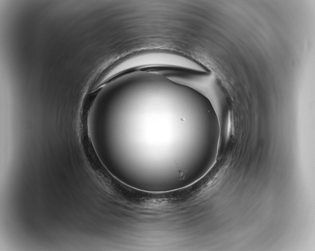 X0000096410252200801241226