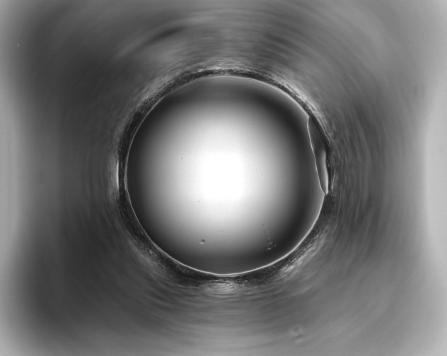 X0000096410253200801241226