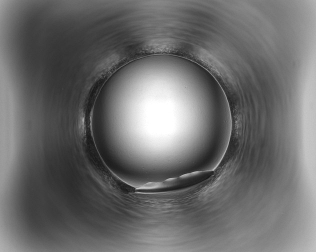 X0000096410254200801241226