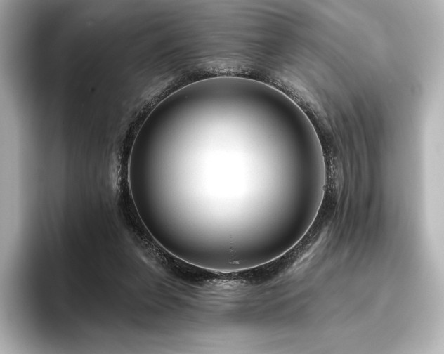 X0000096410255200801241226