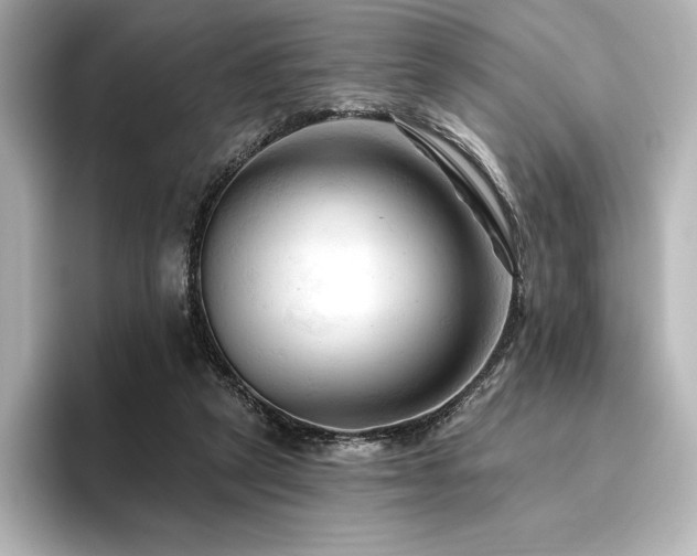 X0000096410257200801241226