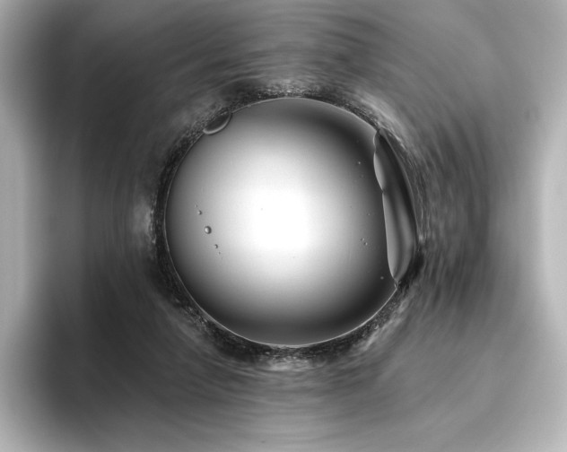 X0000096410258200801241226